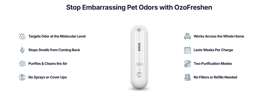 Eliminate Pet Smells In Under 24 Hours & Stop Them From Coming Back