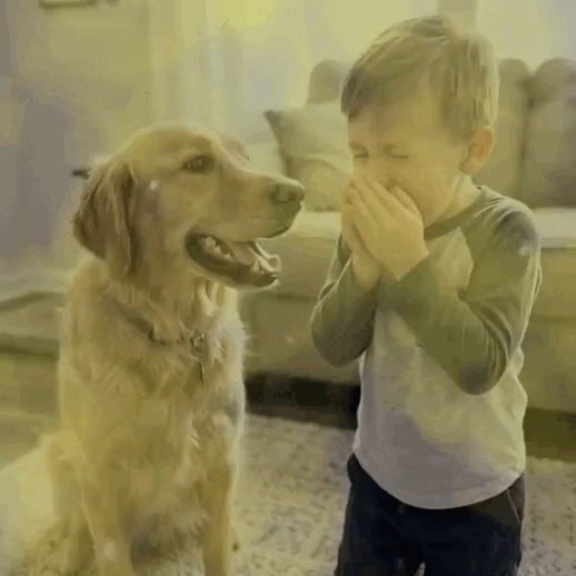 Eliminate Pet Smells In Under 24 Hours & Stop Them From Coming Back